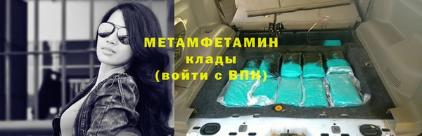 ПСИЛОЦИБИНОВЫЕ ГРИБЫ Бородино