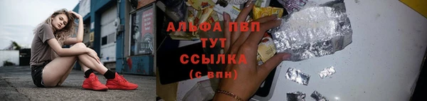 ПСИЛОЦИБИНОВЫЕ ГРИБЫ Бородино