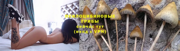 спиды Бронницы